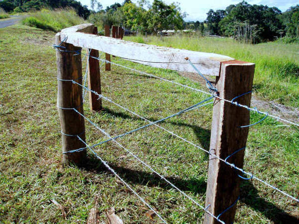 Barbed Wire Fence Cattle Barbed Wire Fence Cattle