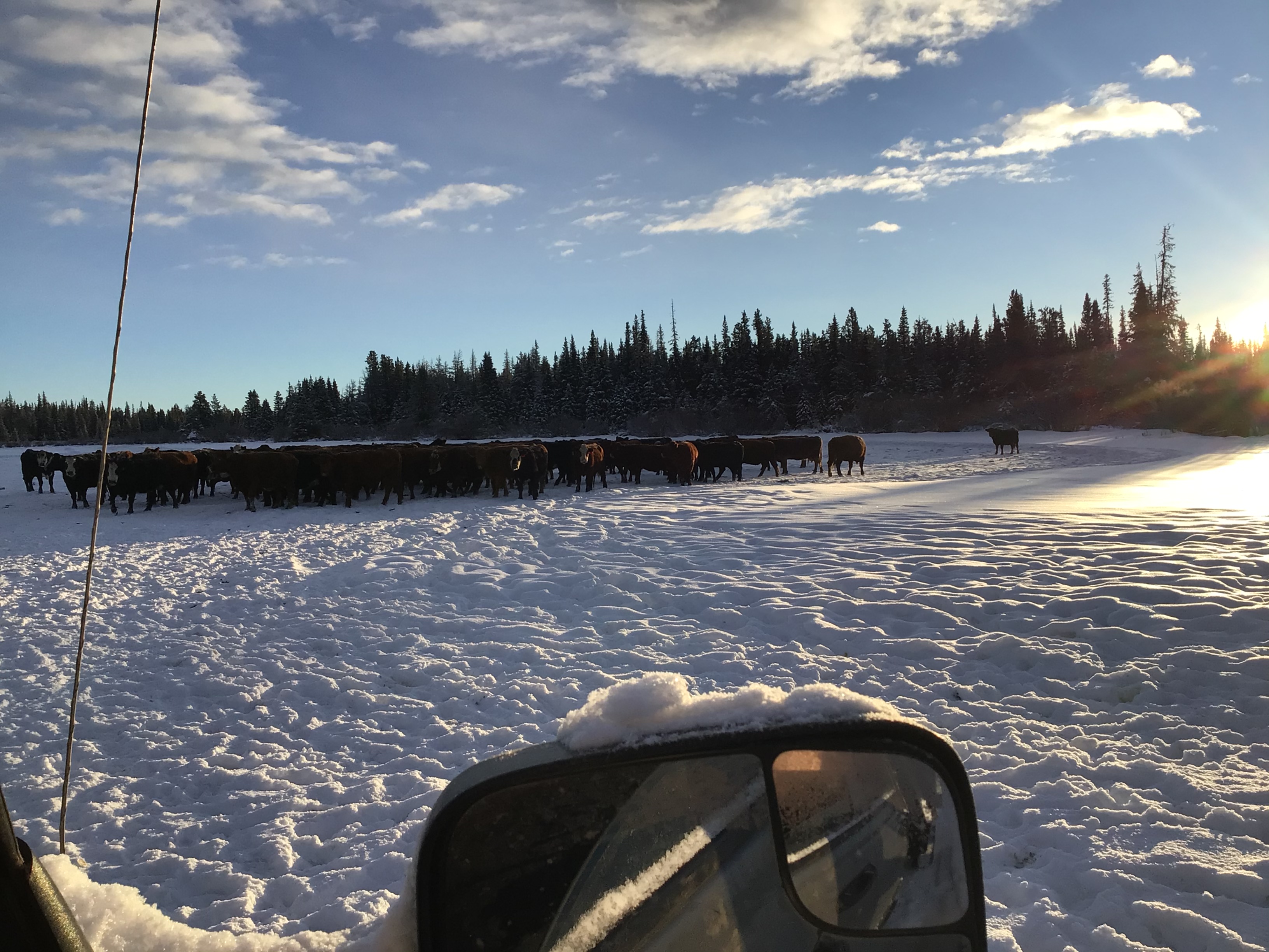 25CAD9BD-FABA-4CCA-8683-C43550B11120.jpeg