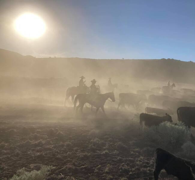 ariz ranch family.jpg