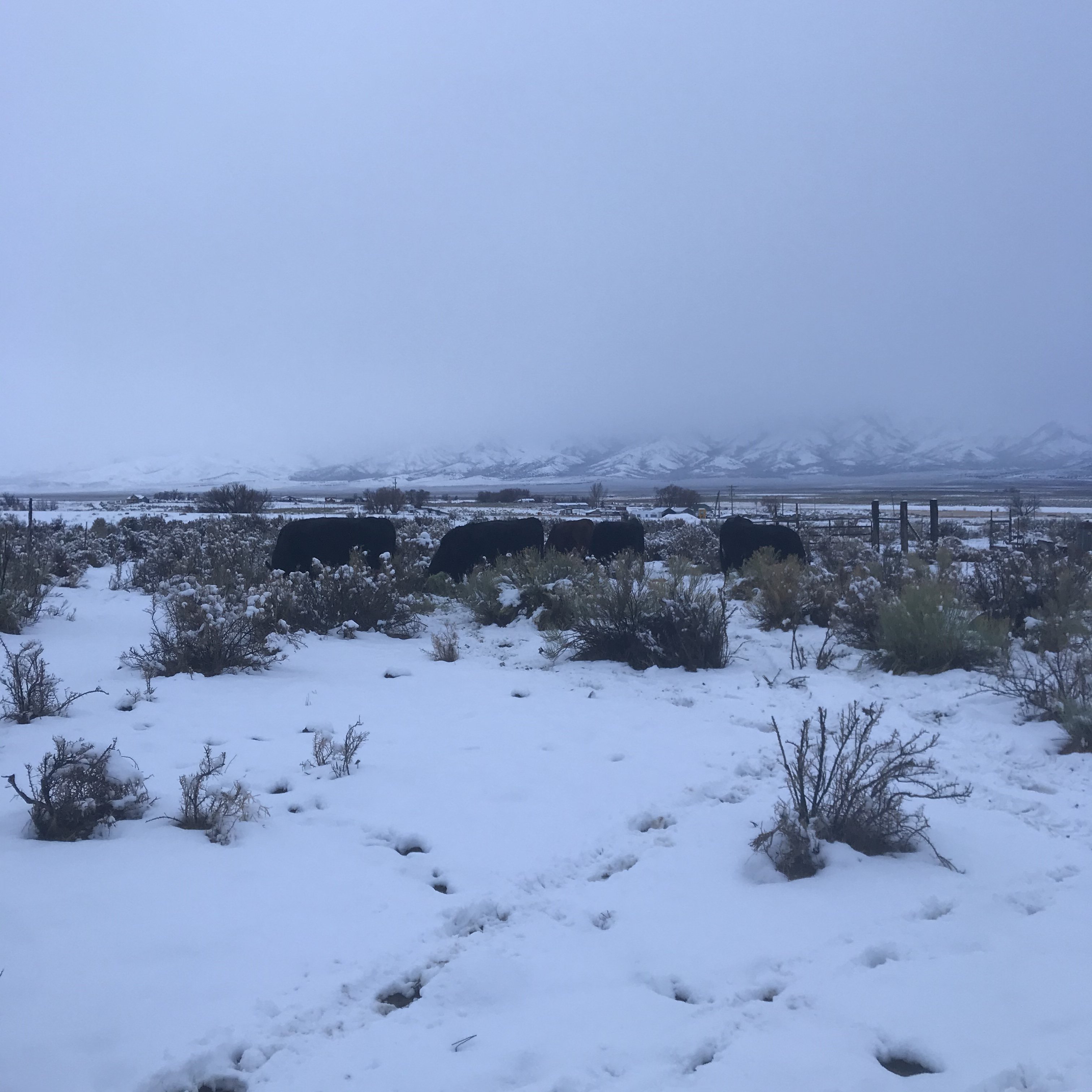 B4549B4D-676B-4067-8F79-DA69A28F928D.jpeg
