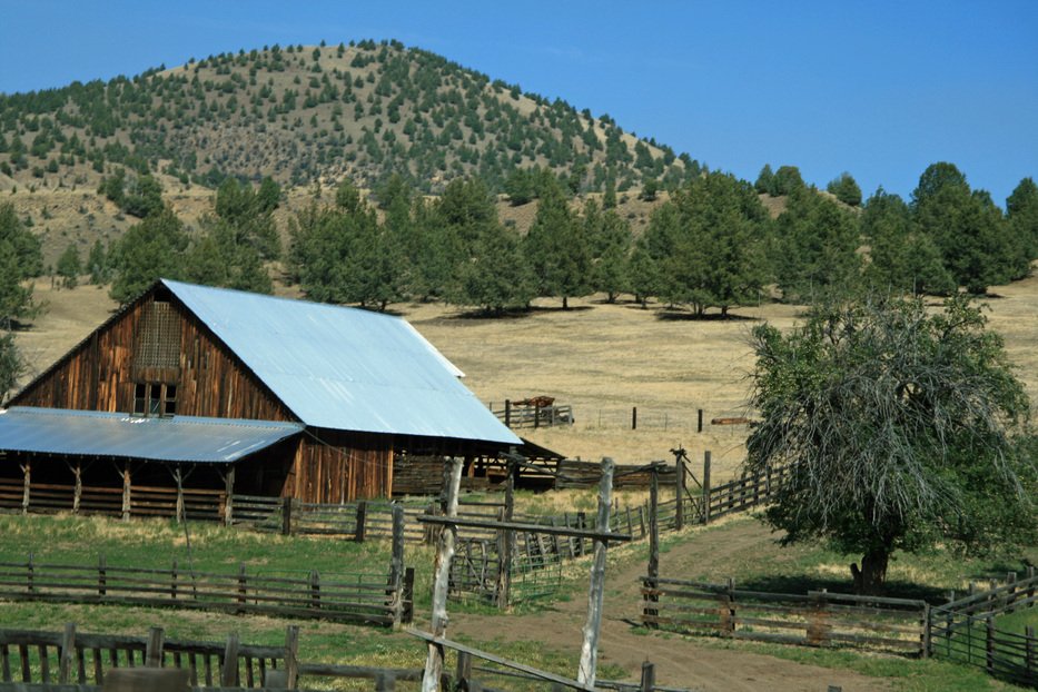 corral JDB ranch.jpg