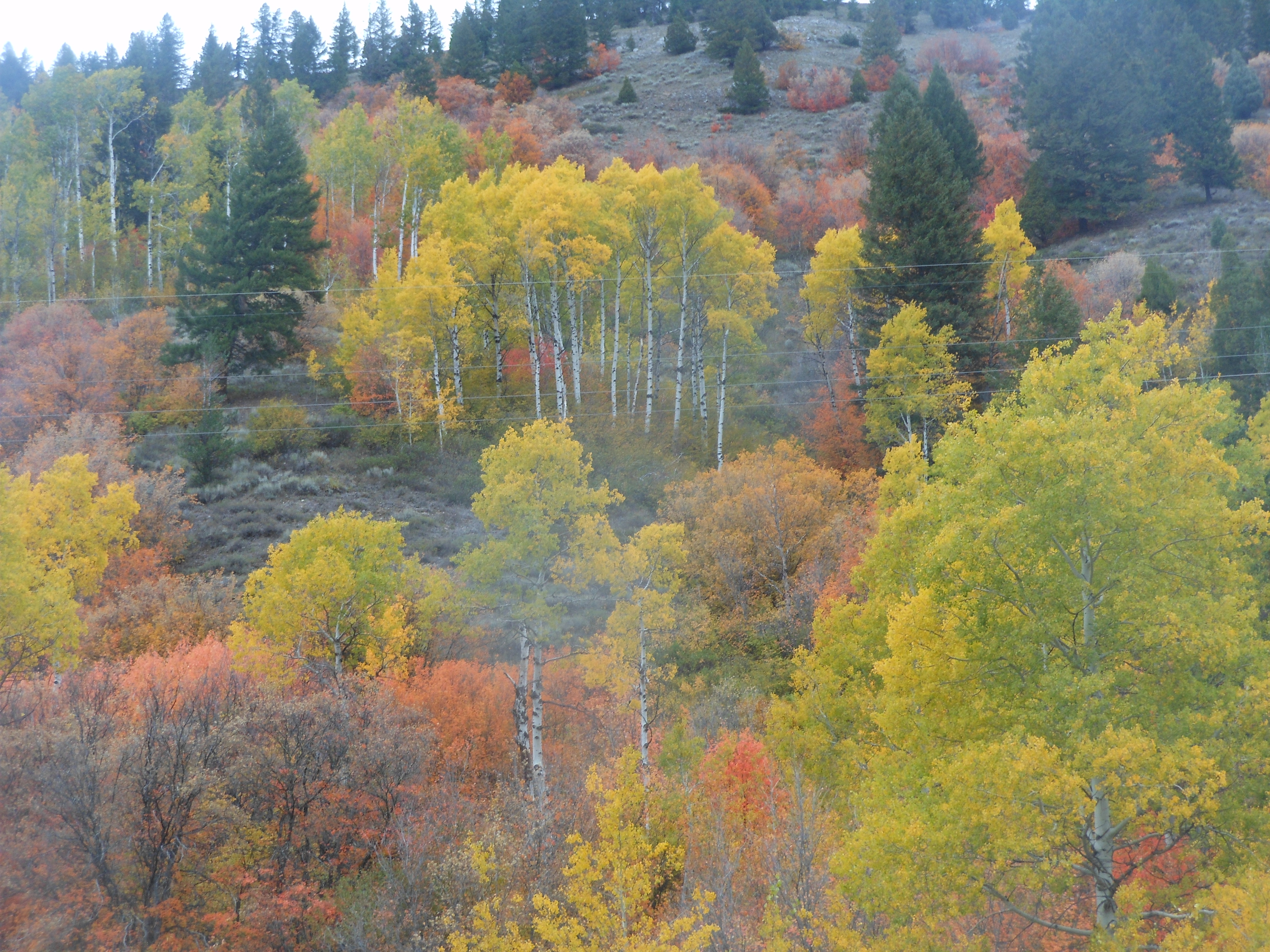 DSCN1283.JPG