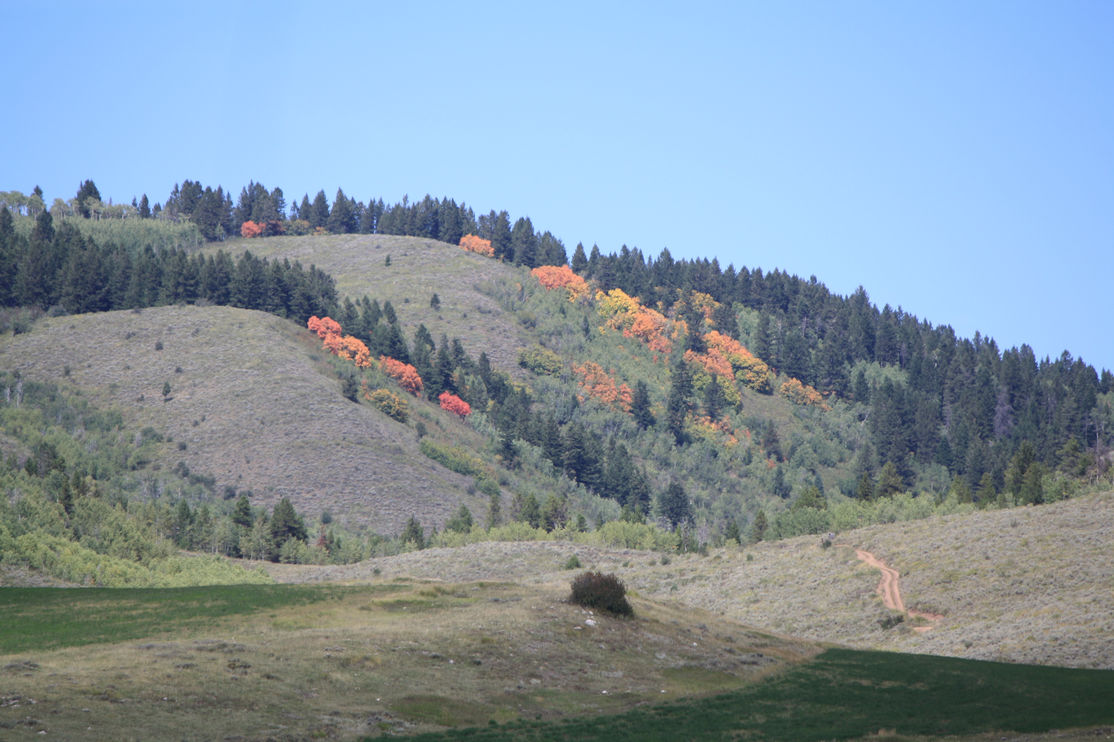 IMG_7313.JPG