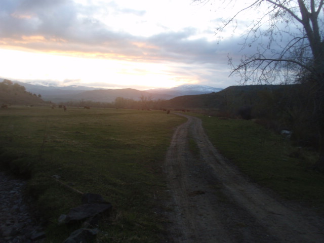P4282849.JPG