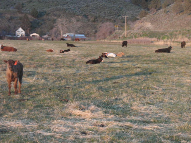 P4282851.JPG