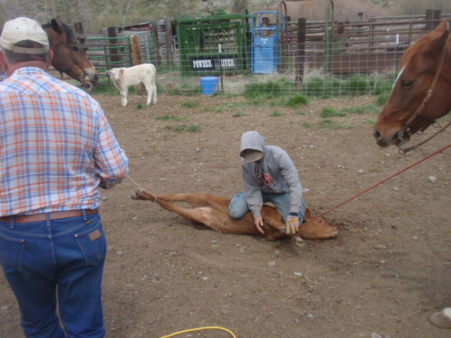 P4282874.JPG