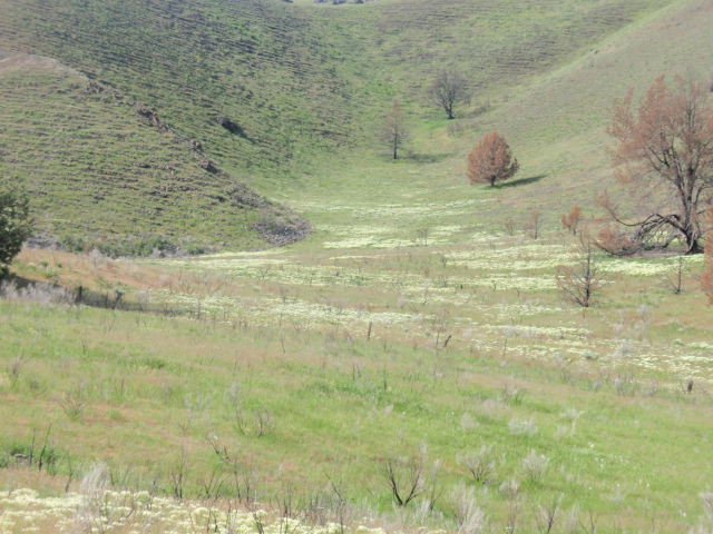 P5220076.JPG