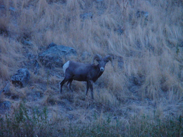 PA093051.JPG