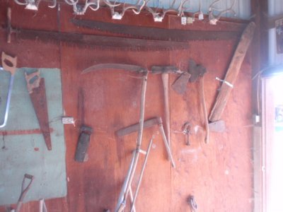 P4202504.JPG