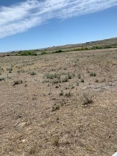 Wyoming drought.jpg