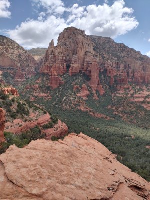 IMG_20250518_101844204_HDR.jpg