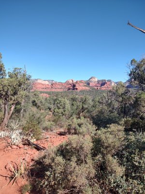 IMG_20250520_083149187_HDR.jpg