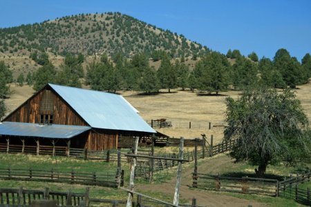 corral JDB ranch.jpg